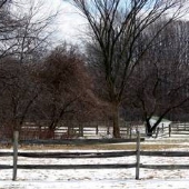 Kirkland Hills Village - Field (Chillicothe Rd)