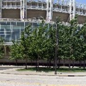 Downtown Cleveland - Progressive Field