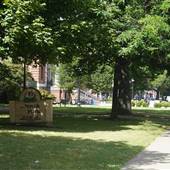 Ohio City-Fulton Rd/ Randall Rd/ Woodbine Ave/ Lorain Ave