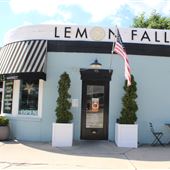 Chagrin Falls-Lemon Falls