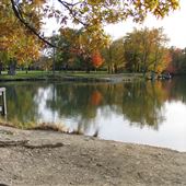 Wallace Lake Fishing Dock