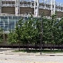 Downtown Cleveland - Progressive Field
