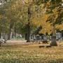 Ohio City - Monroe Cemetery