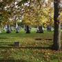 Ohio City - Monroe Cemetery
