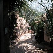 University Circle - Cleveland Botanical Gardens Spiny Desert Greenhouse