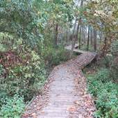 Huron - Sheldon Marsh Nature Preserve