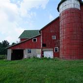 Alliance - Twin Meadows Farm