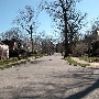 Lakewood - Neighborhood (Marlowe Ave)