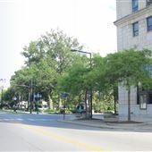Elyria-Downtown Elyria