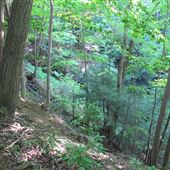Camp Stoney Glen