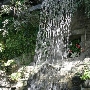 Old Brooklyn - Cleveland Zoo