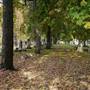 Ohio City - Monroe Cemetery