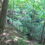 Camp Stoney Glen