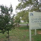 Fairfax - Midtown Learning Farm