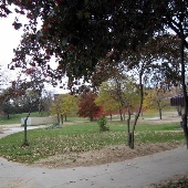 Ohio City - Novak Park