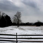 Waite Hill Village - Field