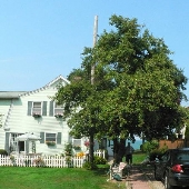 Avon Lake - Sunset Shores Bed & Breakfast