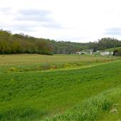 Akron - Stone Creek Road