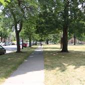 Tremont - Lincoln Park