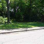 Glenville - Cleveland Cultural Gardens