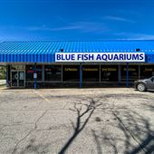 Lyndhurst-Blue Fish Aquariums