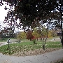 Ohio City - Novak Park