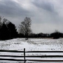 Waite Hill Village - Field
