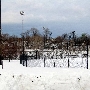Tremont - Clark Fields