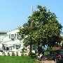Avon Lake - Sunset Shores Bed & Breakfast