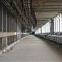 Downtown Cleveland - Superior Viaduct
