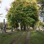 Ohio City - Monroe Cemetery