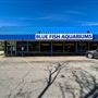 Lyndhurst-Blue Fish Aquariums