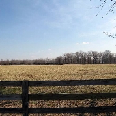 Mentor - Field
