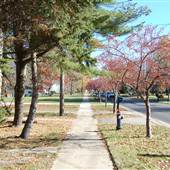 Seven Hills - Chestnut Road