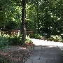 University Circle - Cleveland Botanical Gardens Woodland Garden