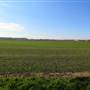 Wellington - Road (Peck-Wadsworth Rd)
