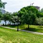 University Circle - Wade Oval