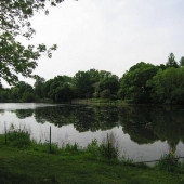 Shaker Heights -  Duck Pond