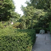 University Circle - Cleveland Botanical Gardens Rose Garden