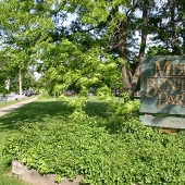 Lakewood - Merl Park