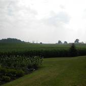 Fredrickstown - Mill Brook Farm