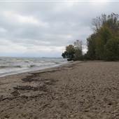 Huron - Sheldon Marsh Nature Preserve