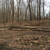 Moreland Hills - Hiram House Camp