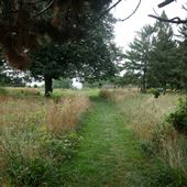 Bratenahl - Cleveland Lakefront Nature Preserve