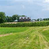 Brunswick-Mapleside Farms