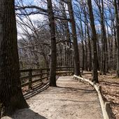 Rocky River - Mastic Woods