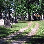 Central - Woodland Cemetery