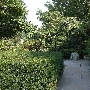 University Circle - Cleveland Botanical Gardens Rose Garden