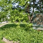 Lakewood - Merl Park