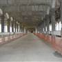 Downtown Cleveland - Superior Viaduct